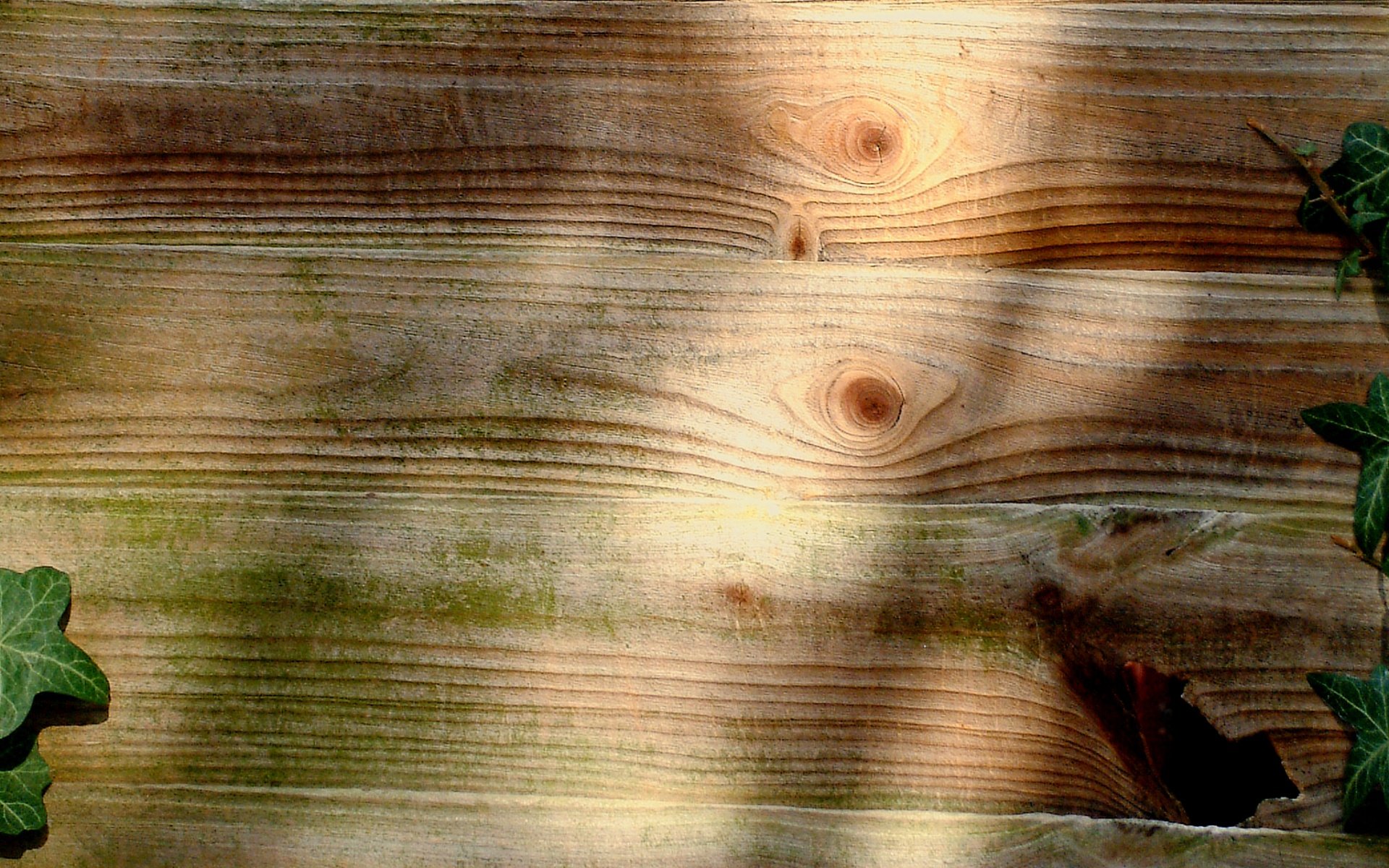 Текстура стола дерево
