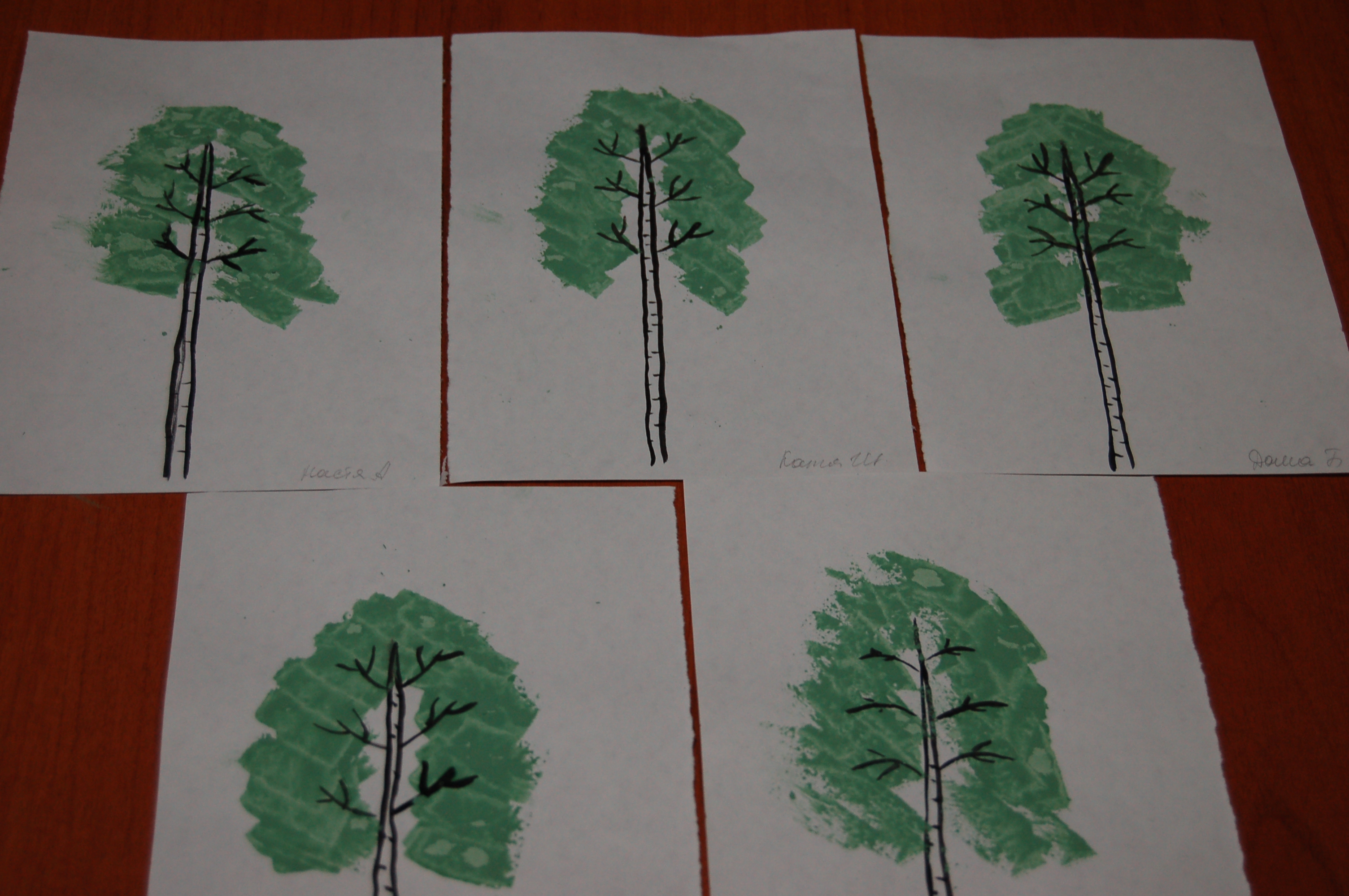 Рисование деревьев в старшей группе