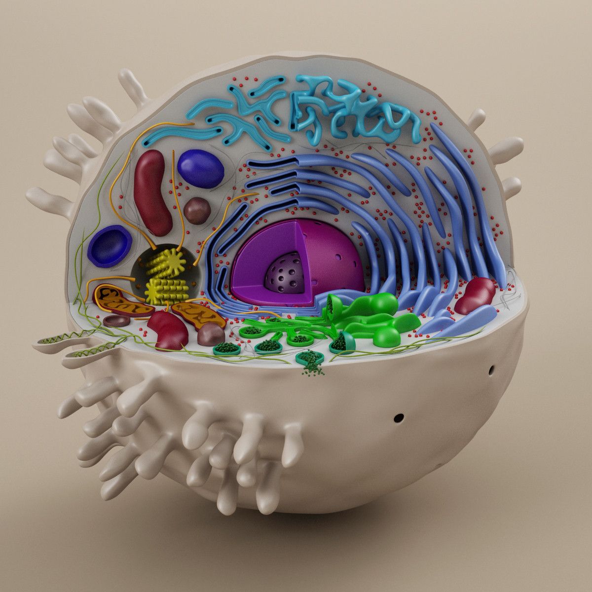 Клетка компьютерная модель