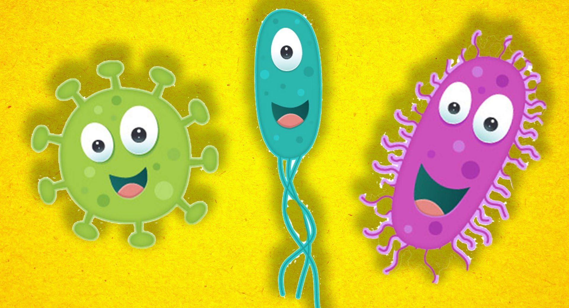 Бактерии для детей