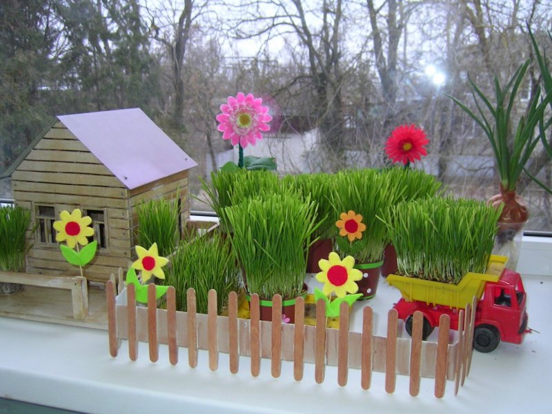 Огород на окне в детском саду лук