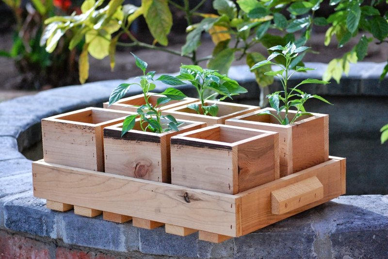 Ящики для растений деревянные