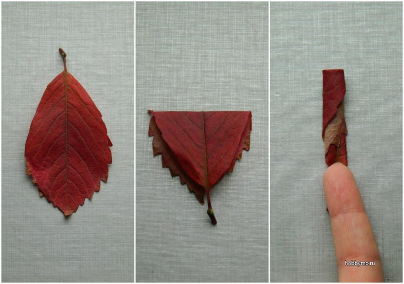 Поделки из листьев