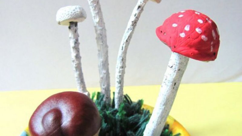 Поделки из древесного гриба