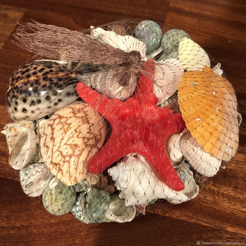 Сувениры из морских ракушек и камней