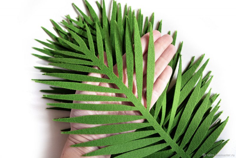 Листья пальмы из гофрированной бумаги