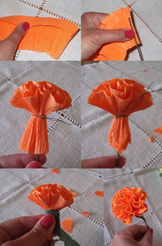Цветы гвоздики из креповой бумаги