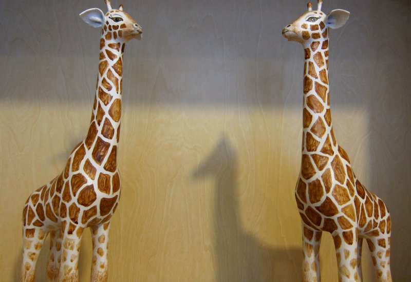 Домашний Жираф декоративный