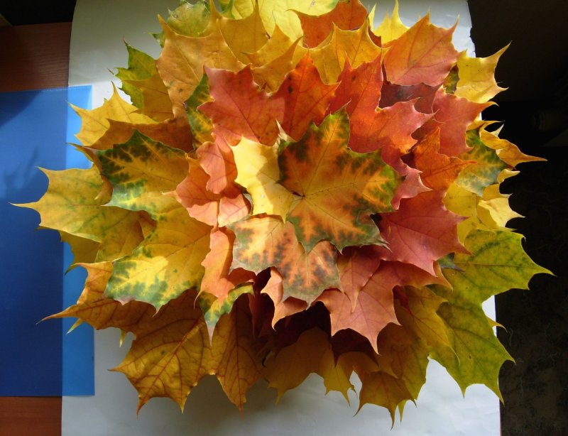 Поделки из листьев на тему осень
