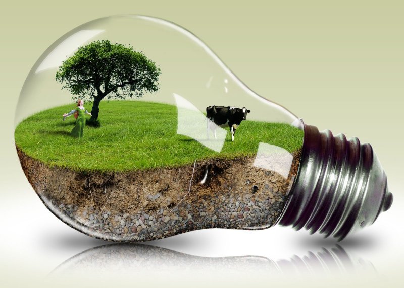 Экологическая лампочка