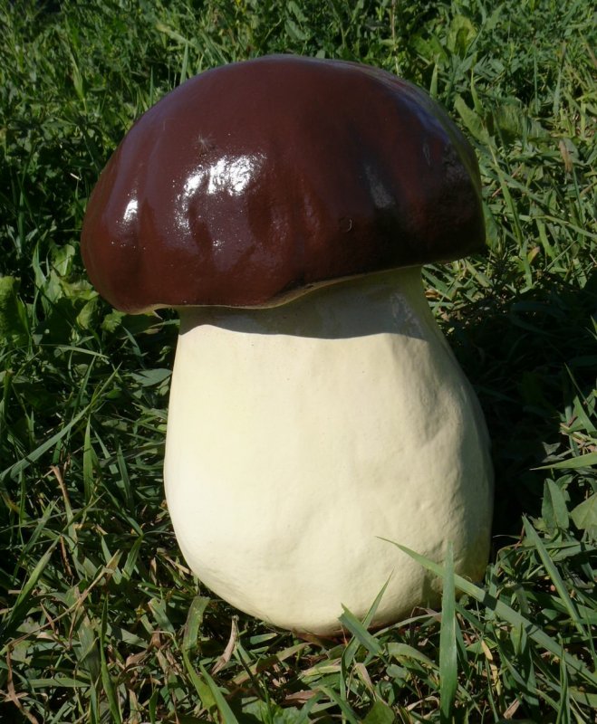 Поделки из грибов