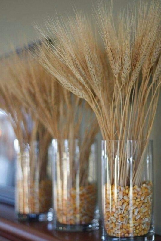 Бисероплетение колоски пшеницы
