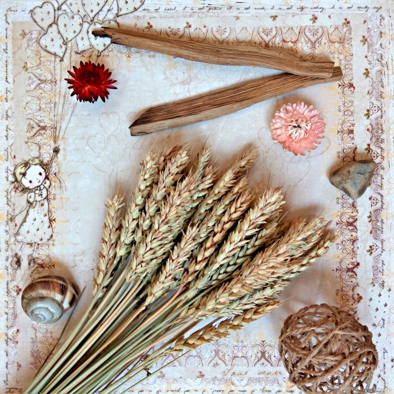 Букет пшеничных Колосков