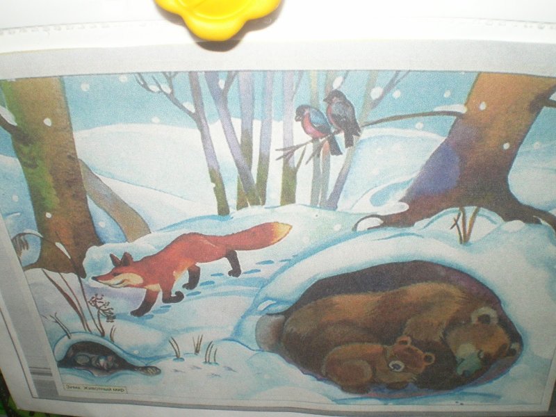 Медведь в берлоге рисунок красками