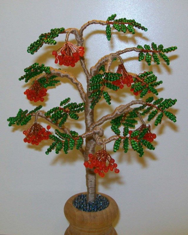 Бисерное дерево рябина