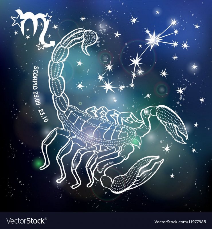 Scorpio Zodiac Созвездие