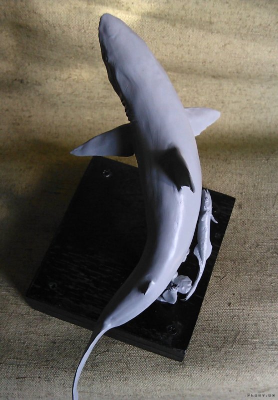 Пластилиновая акула