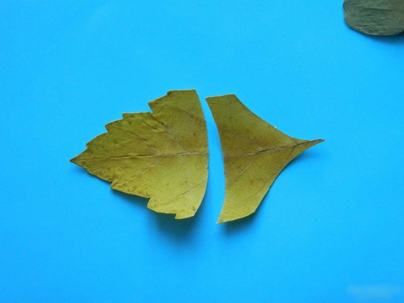 Золотая рыбка из листьев