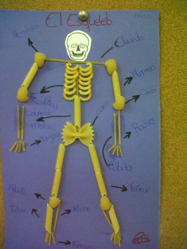Поделка скелет