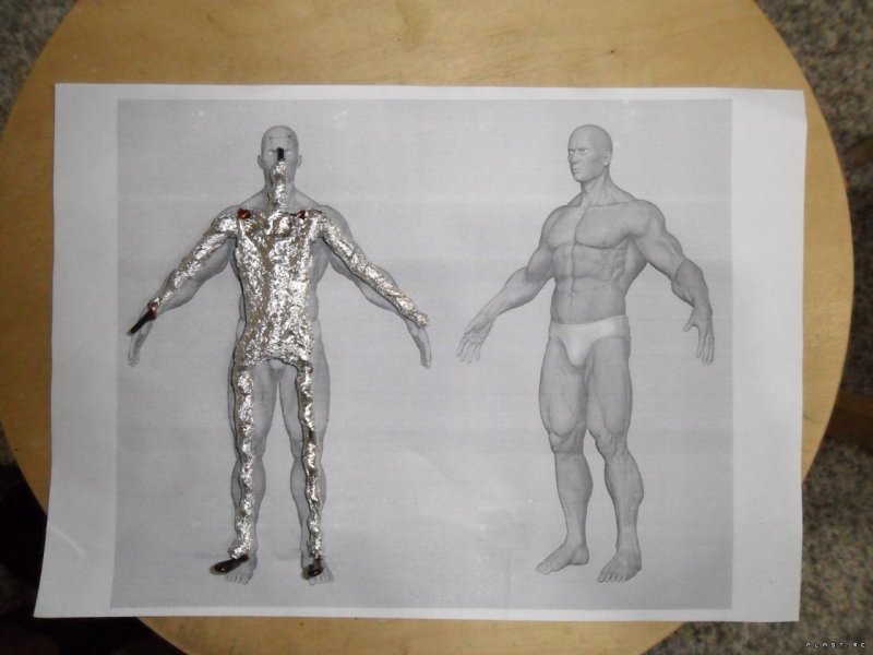 Анатомическая модель человеческого тела торс