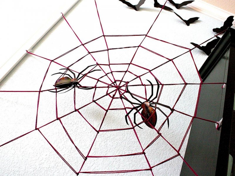 Домик для паука из тыквы