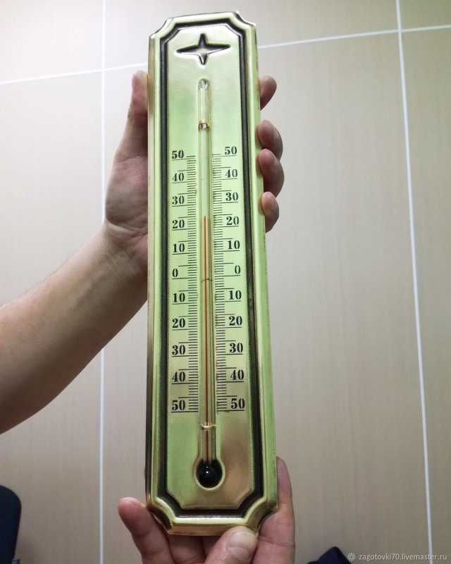 Термометр Esschert Design th9