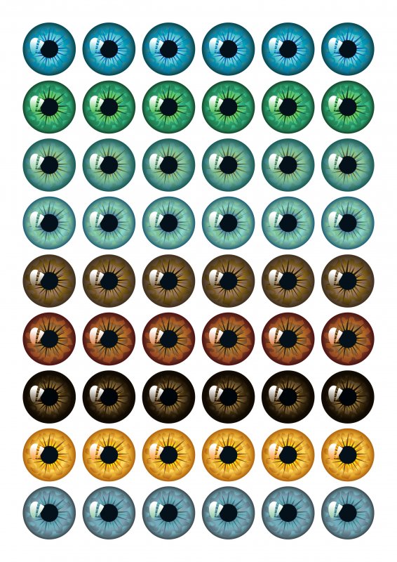 Радужки глаз для игрушек