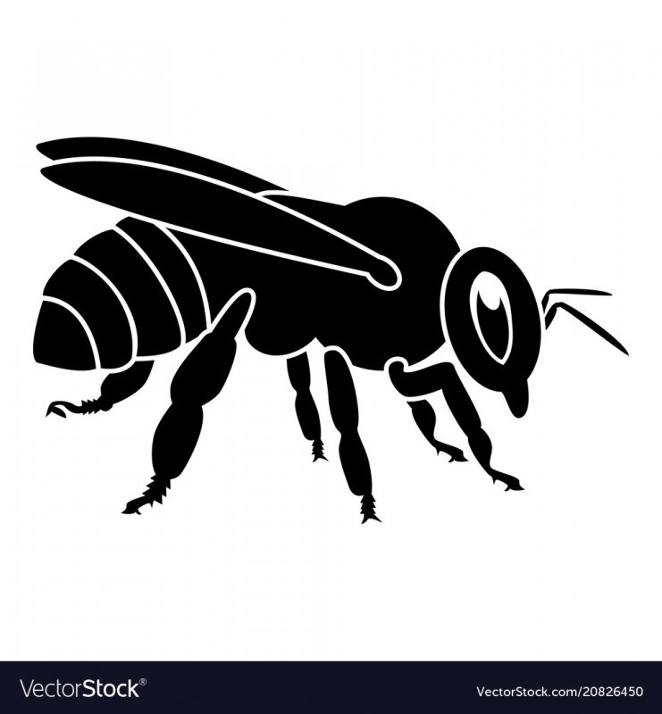 Пчела иконка вектор
