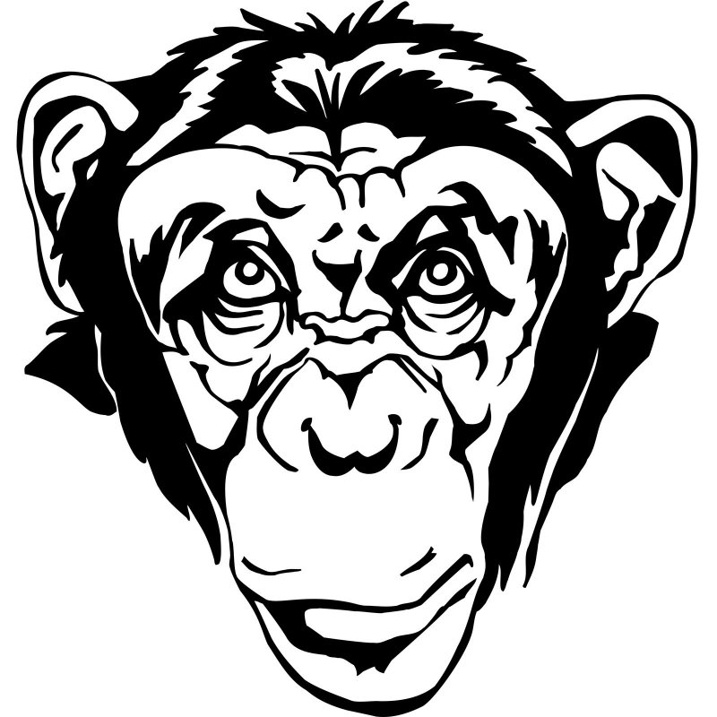 Трафарет обезьяны