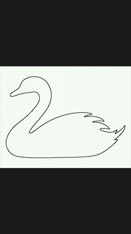 Белый лебедь рисунок