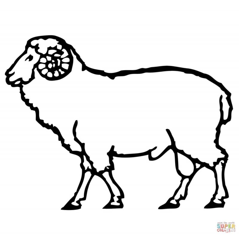 Раскраска Shaun the Sheep