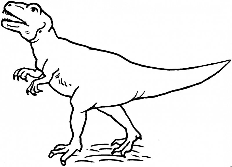 Раскраска динозавр РЭКС