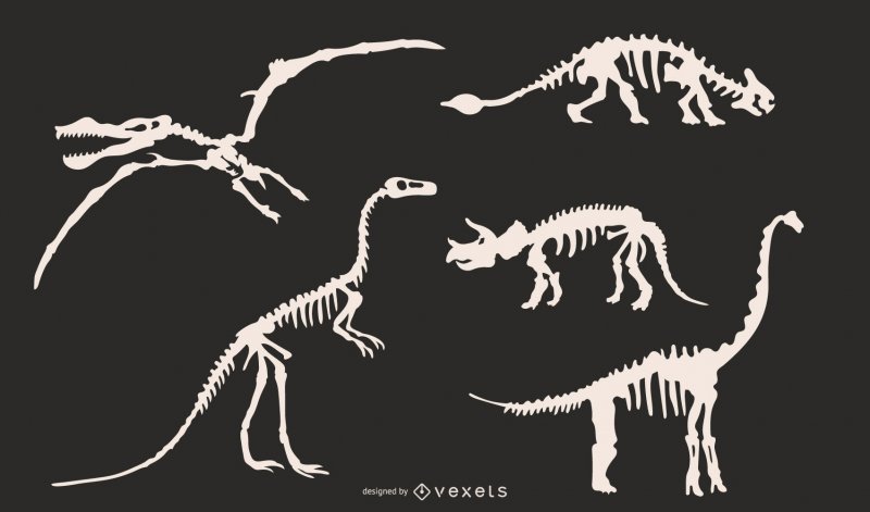 Кости динозавра вектор