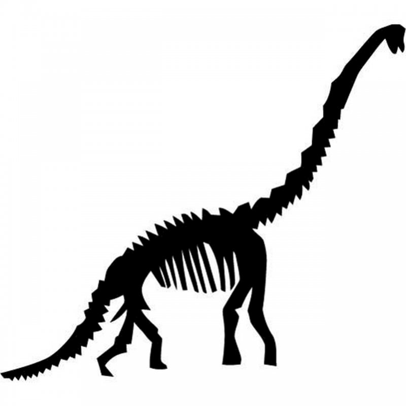 Brachiosaurus Fossil