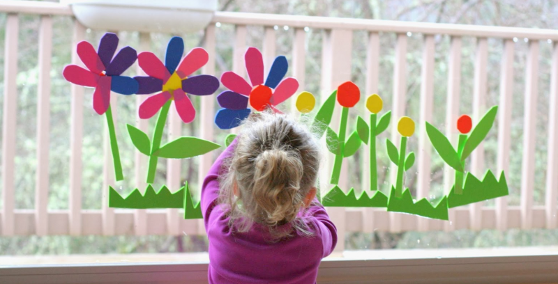 Цветы на окна в детском саду