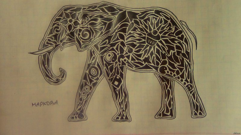 Слоны рисунки