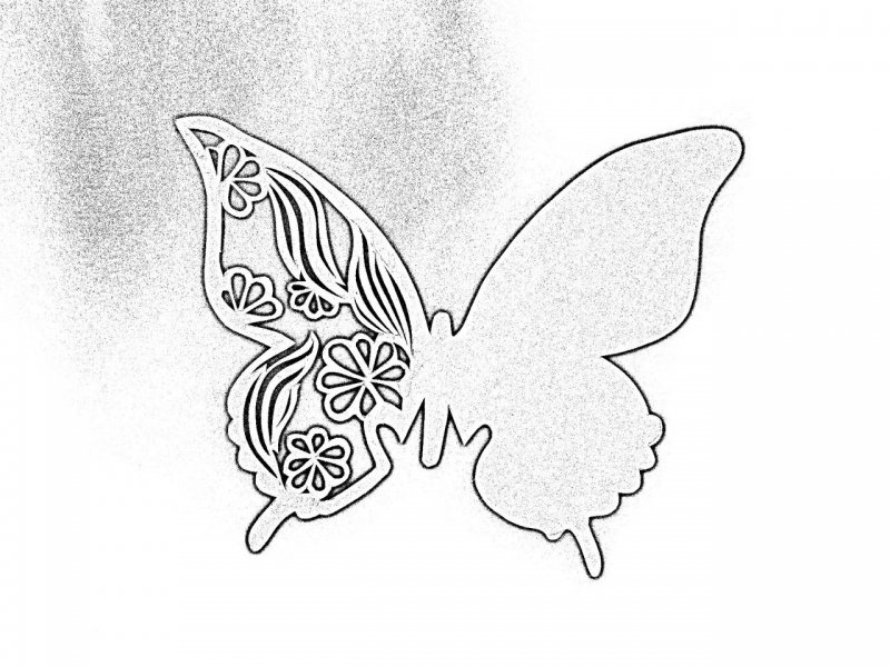 Маска бабочки раскраска