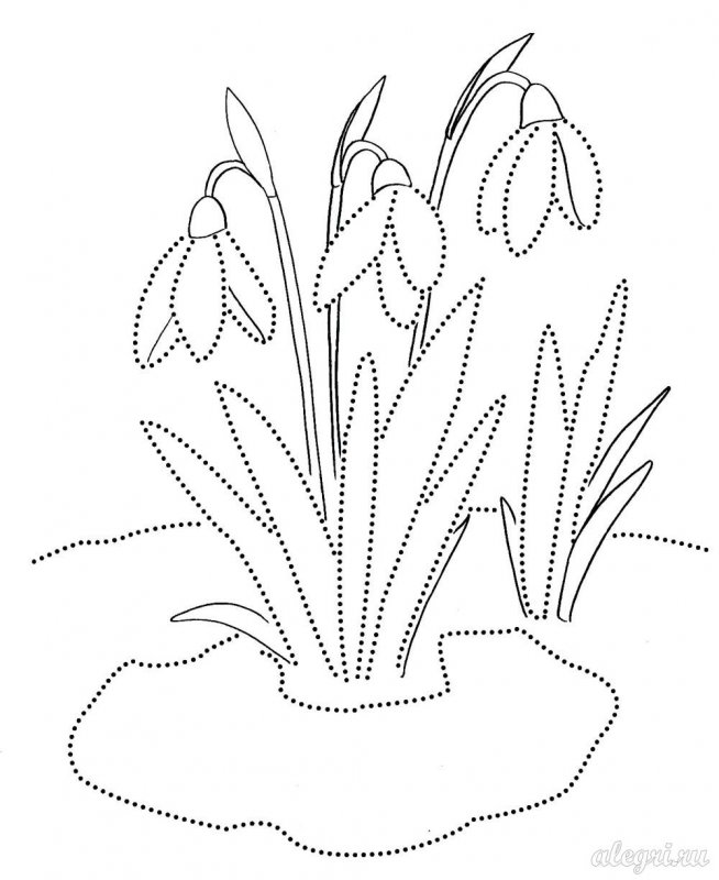Киригами цветы