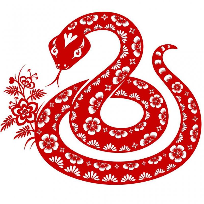 Символ года "змея"