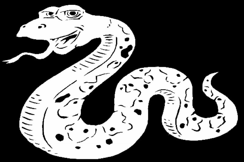 Раскраски на новый год змеи