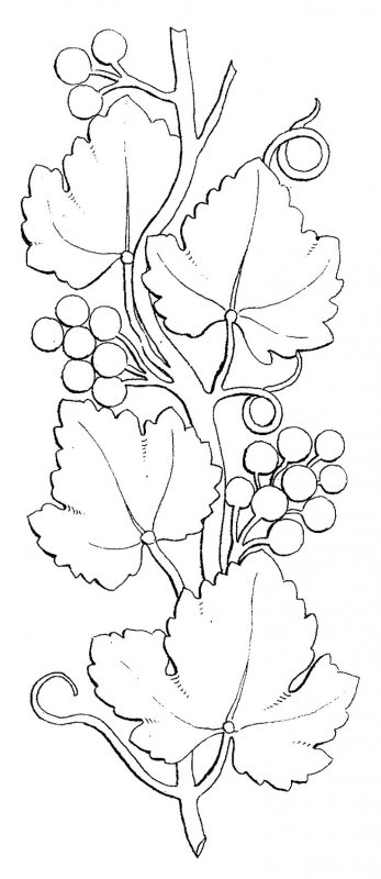 Гроздь винограда рисунок в формате DXF