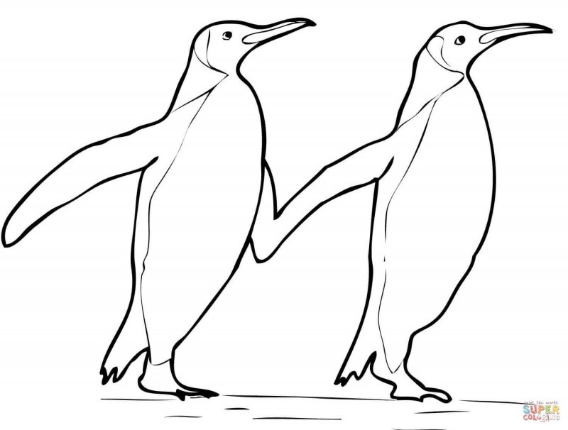 Раскраска 2 пингвина