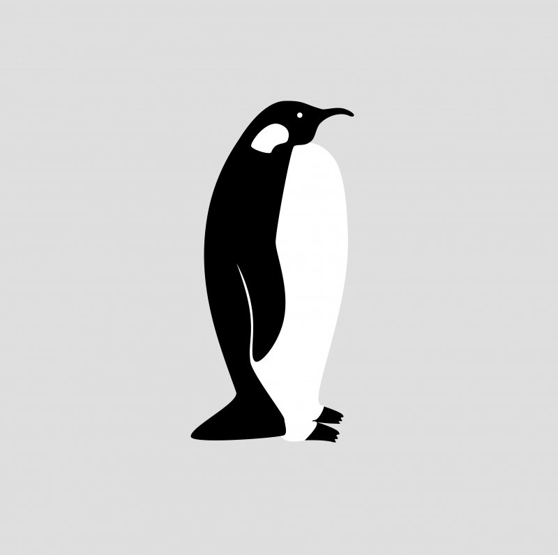 Пингвинята раскраска для детей