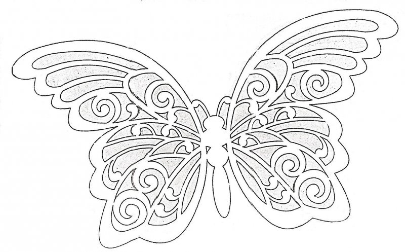 Вытынанка бабочка