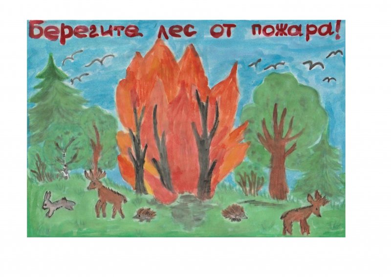 Плакат на тему защита леса