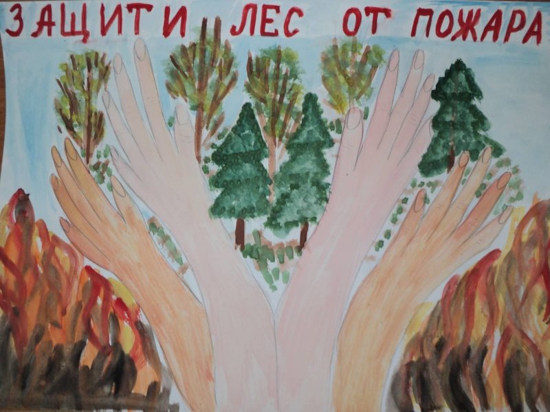Плакат "берегите лес!"