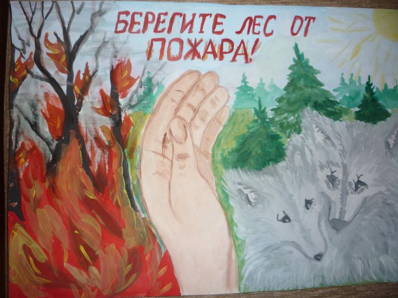 Плакат Защитим лес