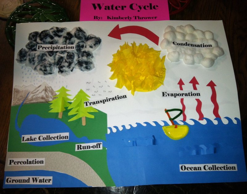 Модель круговорота воды в природе
