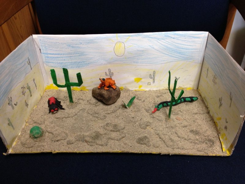 Макет пустыни для детского сада