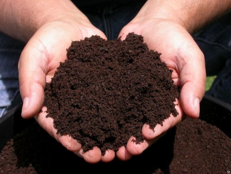 Удобрения почвы чернозем